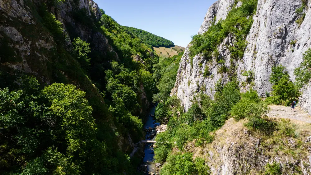 les gorges du Tarn