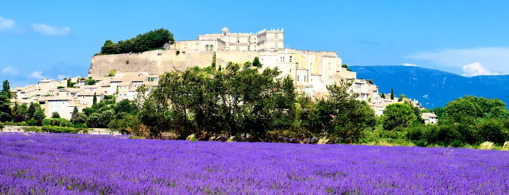 paysage de provence